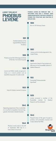 Phoebus Levene Timeline